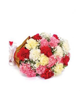20 Mix Colour Carnations