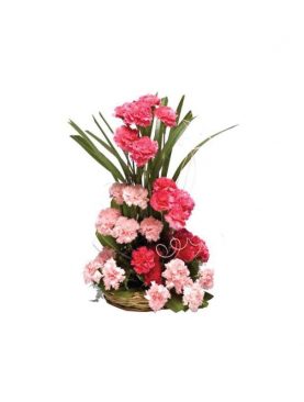 25 Carnations Flowers In Basket