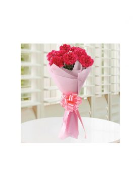 Pink Carnations N Love