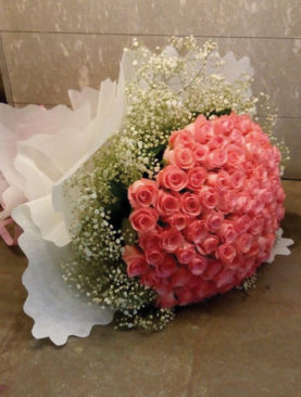 Pink Roses 250