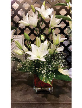 White lilies - 5