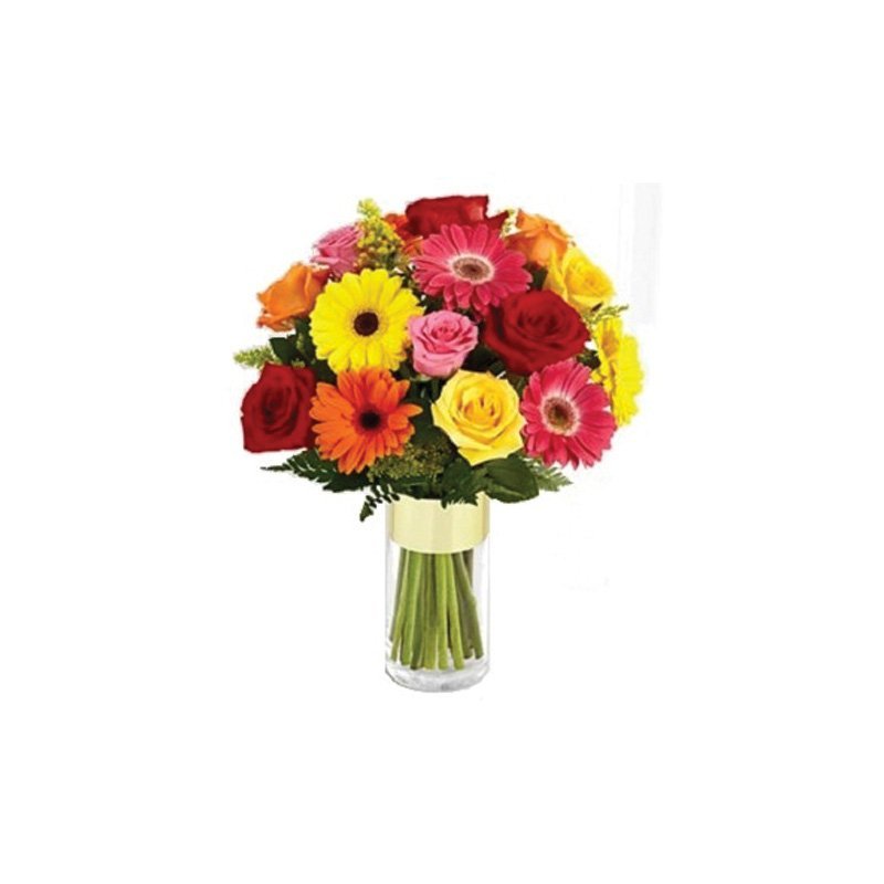 15 Mix Gerbera