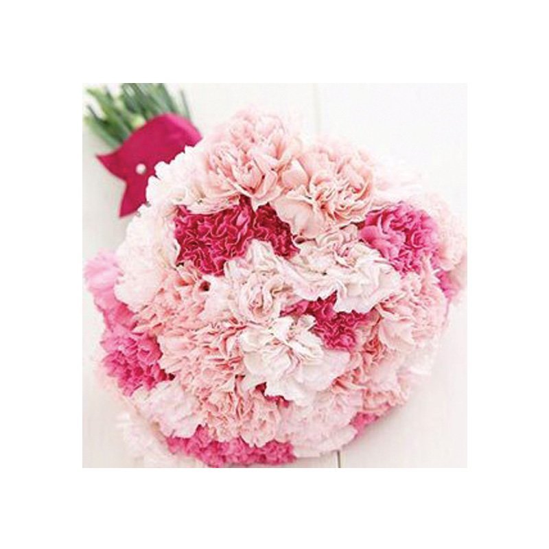 50 Beautiful flowers