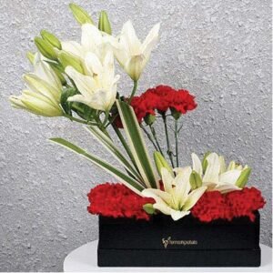 Enchanting Lilies N Carnations