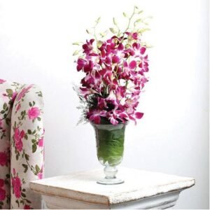 Orchid Aura Standard