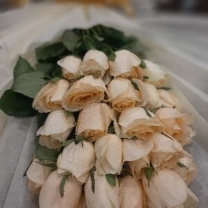 Peachy Petal Ensemble