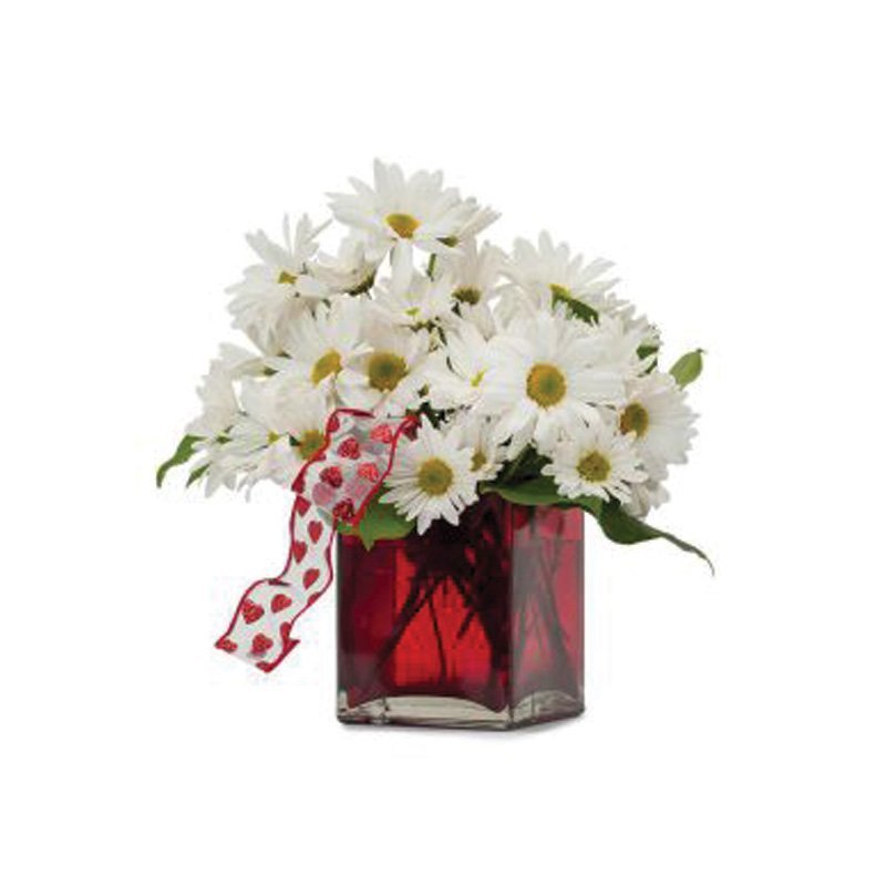 35 Exortic White Flowers