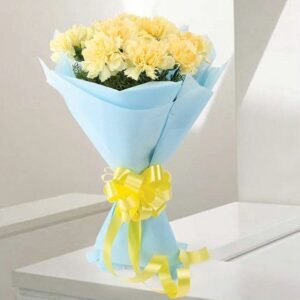 Sundripped Carnations