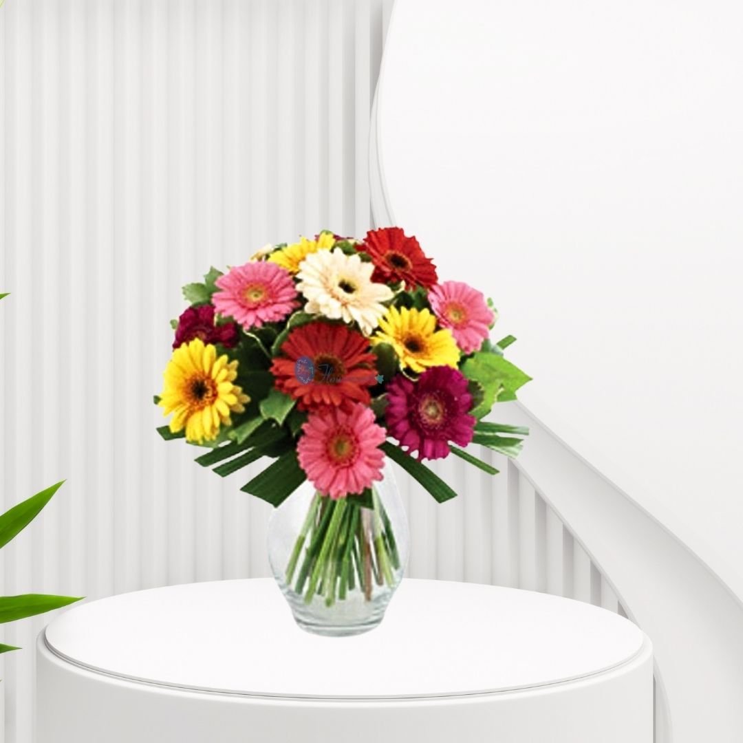 Bunch of Assorted Gerberas
