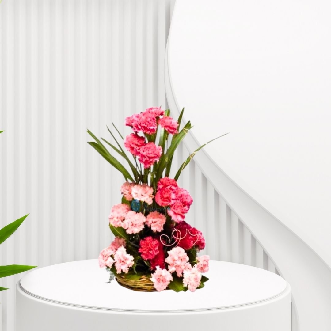 25 Carnations Flowers In Basket
