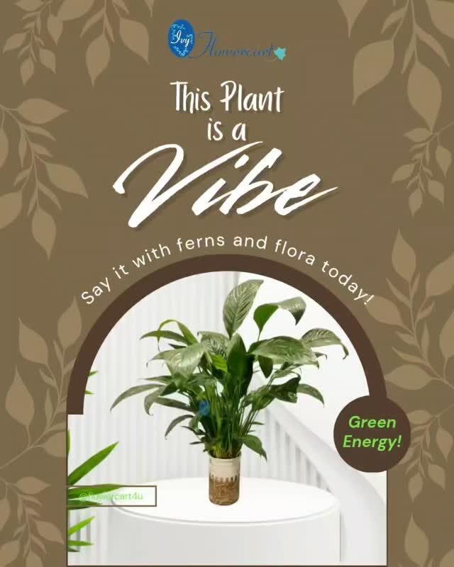 Instagram post from flowercart4u. This post is in position 0.